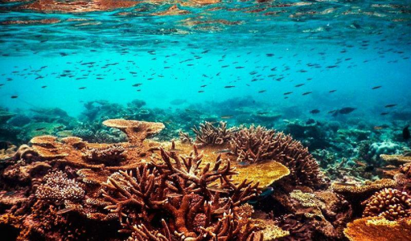 马尔代夫属于哪个国家有多少人口