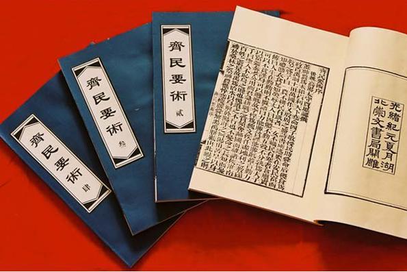 贾思勰是哪个朝代的人物