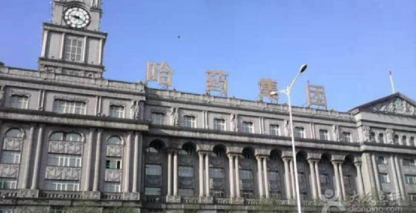 哈尔滨在哪个省的城市