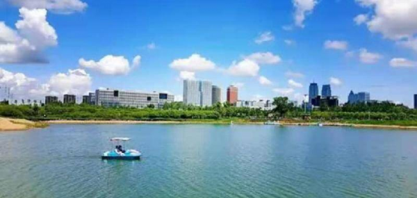 哈尔滨在哪个省的城市