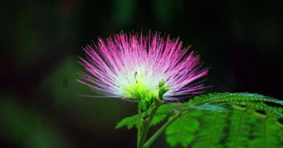 沟通的重要性及意义 沟通的意义体现在哪些方面