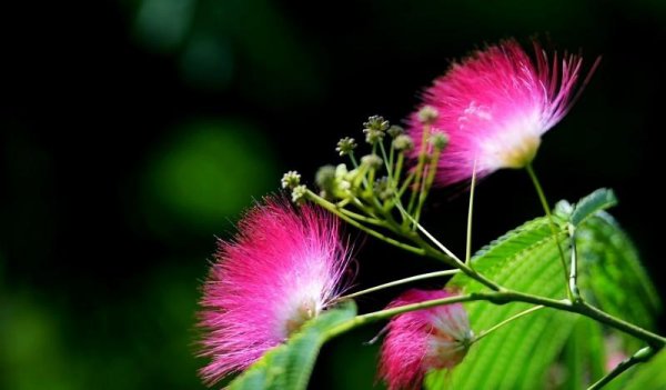 沟通的重要性及意义