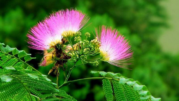 沟通的重要性及意义