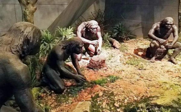 现在地球一共有多少人口