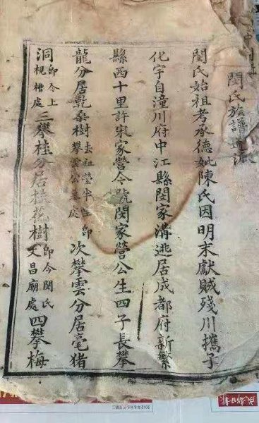 续家谱的人有什么危害