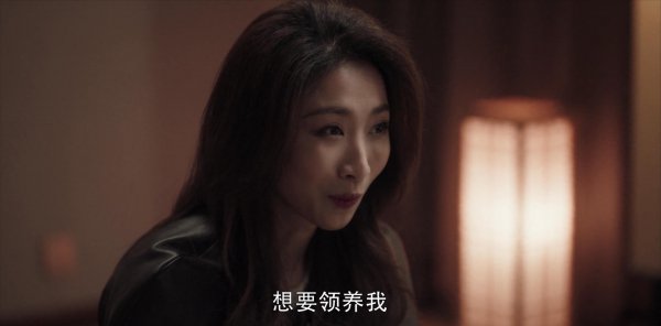 扫黑风暴王政角色介绍