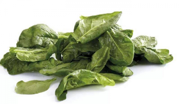 蔬菜和水果的本质区别