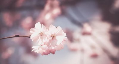 一个自以为是的男人的表现 自以为是男人性格什么样子