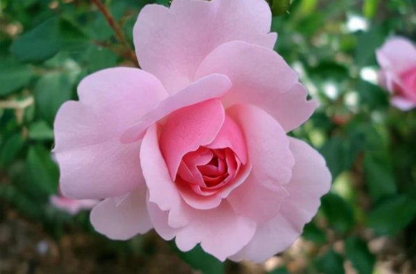 一个自以为是的男人的表现