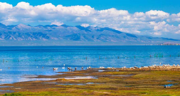 青海湖海拔多少米高