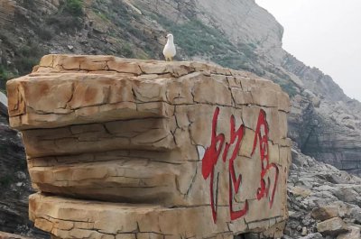 蛇岛在中国的什么位置 我国的蛇岛位于什么地方