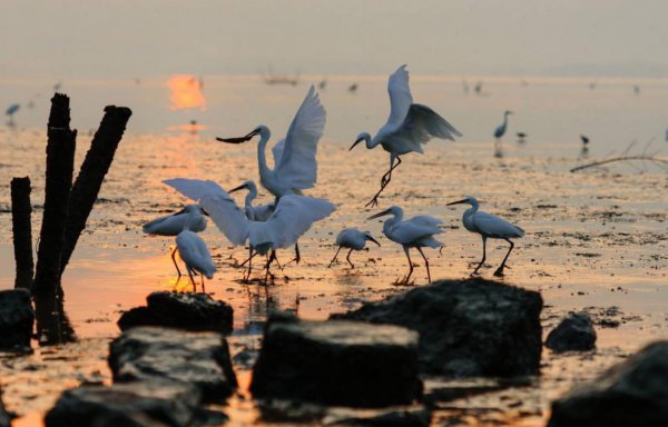 蛇岛在中国的什么位置