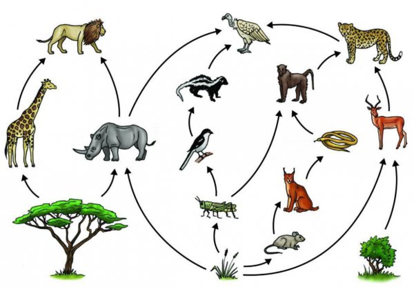 蛇岛在中国的什么位置
