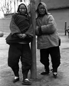 1942年河南大饥荒的原因 河南大饥荒是什么引起的