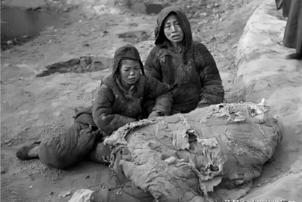 1942年河南大饥荒的原因
