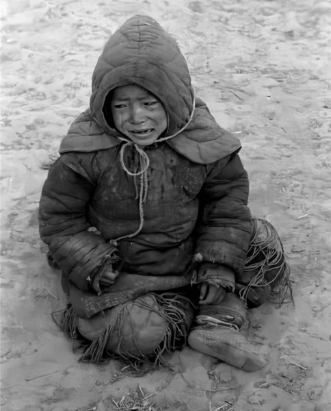 1942年河南大饥荒的原因