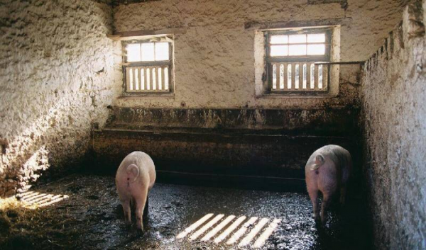 史上最荒淫的皇帝