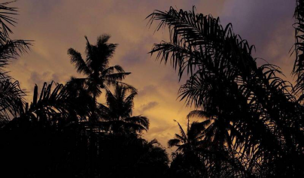 史上最荒淫的皇帝