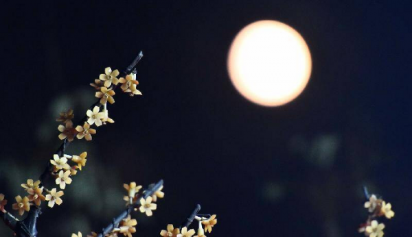 中秋节后羿和嫦娥的故事简短