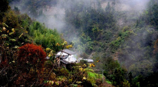 停车坐爱枫林晚的坐是什么意思