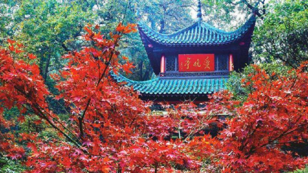 停车坐爱枫林晚的坐是什么意思