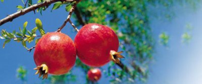 空悲切的含义是什么意思 空和切分别是什么意思