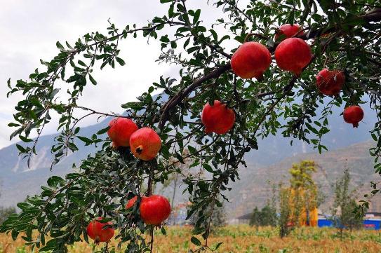 空悲切的含义是什么意思
