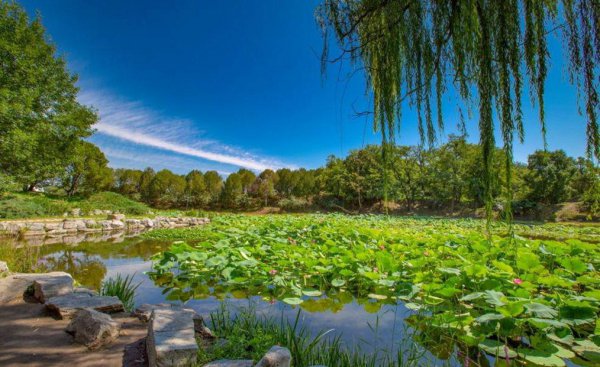 火烧圆明园的日期和具体情况