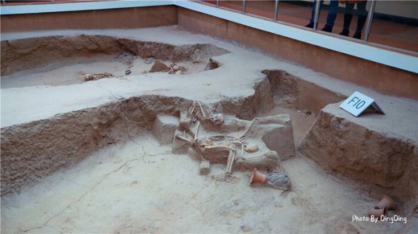 青海喇家遗址出土了什么食物