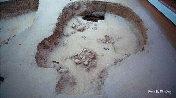 青海喇家遗址出土了什么食物