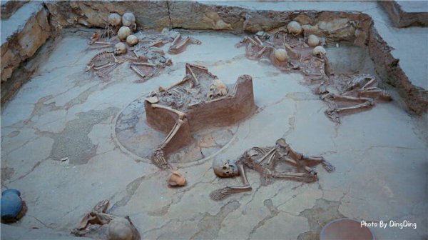 青海喇家遗址出土了什么食物