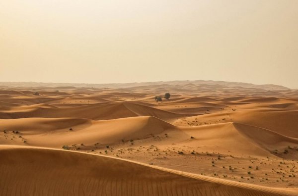 地球上沙漠是怎么形成的