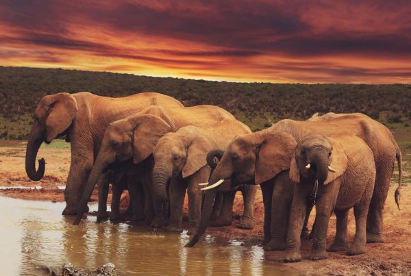 地球上沙漠是怎么形成的