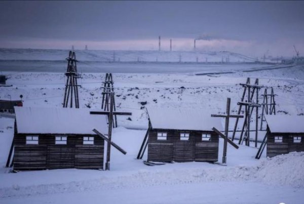 告诉你一个真实的斯大林