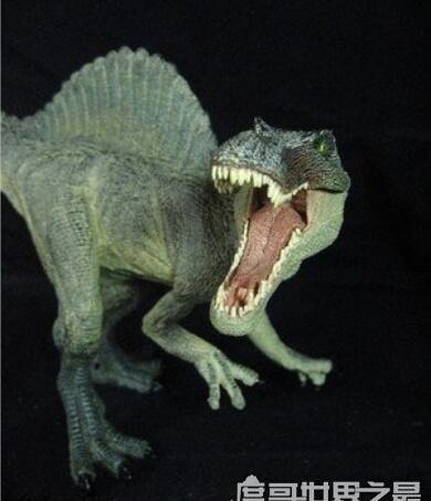 什么恐龙最厉害第一名