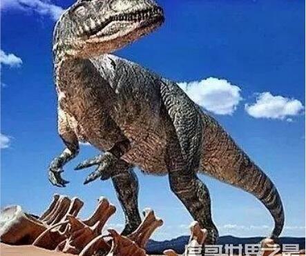 什么恐龙最厉害第一名