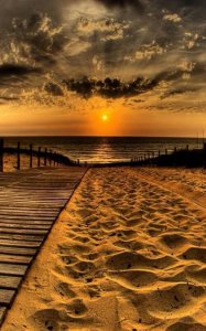 上班摸鱼是什么意思 上班只想摸鱼有何内涵梗