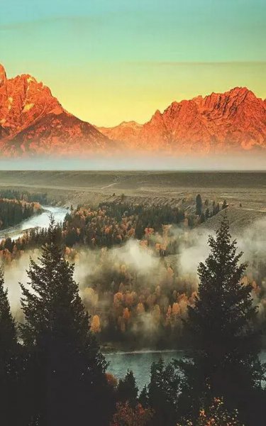 上班摸鱼是什么意思