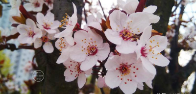 伸手不打笑脸人是什么意思 伸手不打笑脸人有道理吗