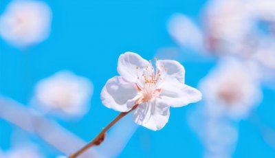 男人眼里的拉黑和删除还要跟我分手 在乎还是死心