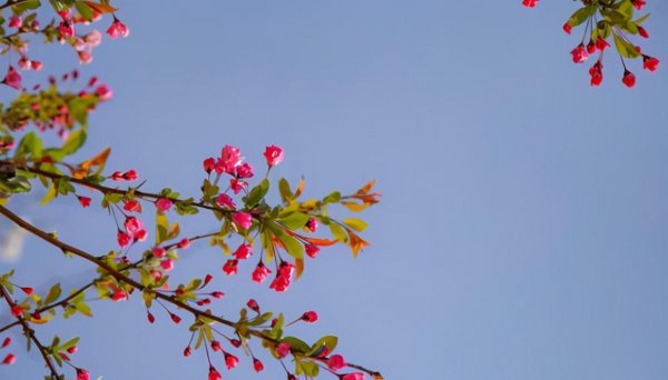 男人眼里的拉黑和删除还要跟我分手