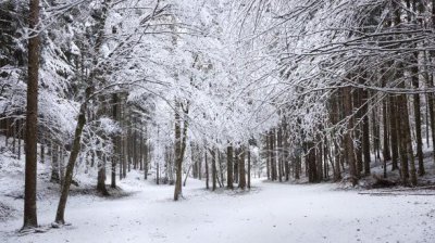 1816无夏之年影响 中国1816年发生的历史事件