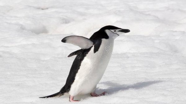 山海经不断被证实