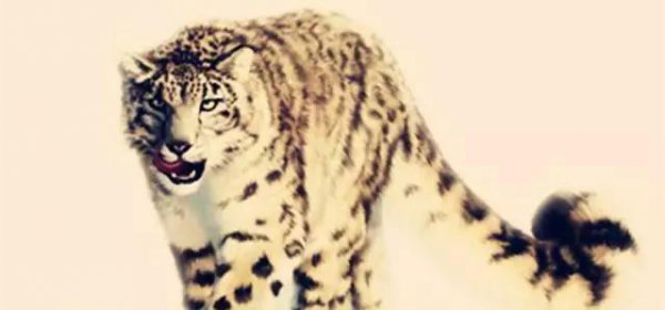 山海经不断被证实