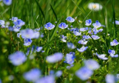 十二星座动心时的表现 真正动心了会有什么样的举动