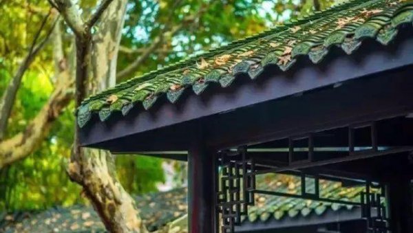 真是人心不足蛇吞象什么意思