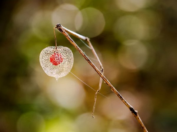 一直说谎的人精神有问题