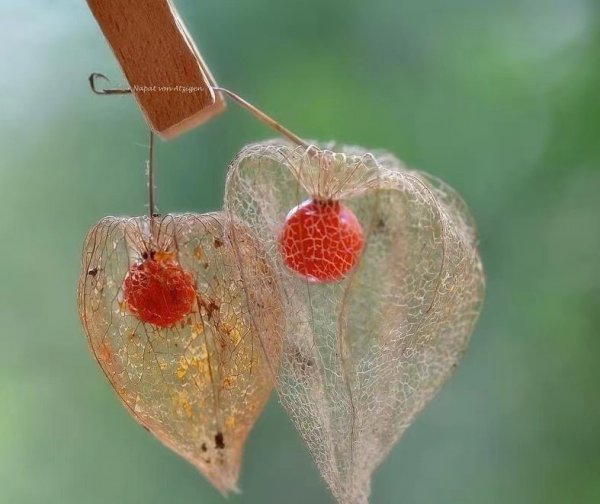 一直说谎的人精神有问题