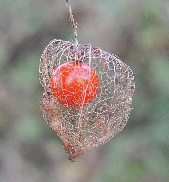 一直说谎的人精神有问题