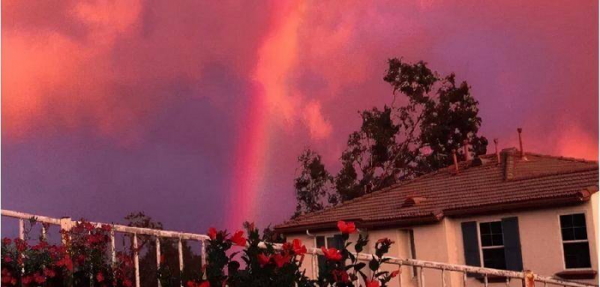 非常耍流氓的那种的谈恋爱